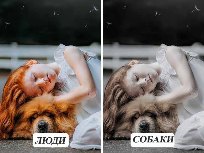 10 фотографій про те, як бачать тварини