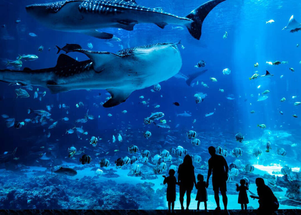 ᐈ 10 найбільших акваріумів у США - великі акваріуми Америки - самі великі 2024