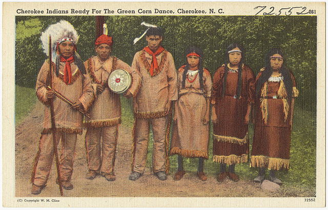 ᐈ 10 найбільших індіанських племен Америки - самі великі 2024