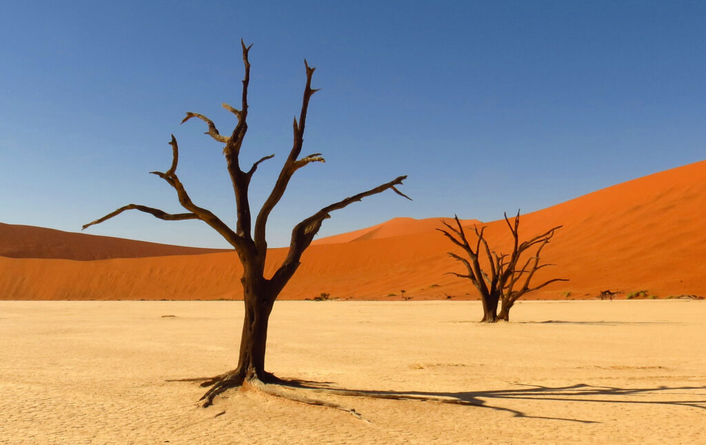ᐈ 10 найбільших пустель у світі - великі пустелі - самі великі 2024