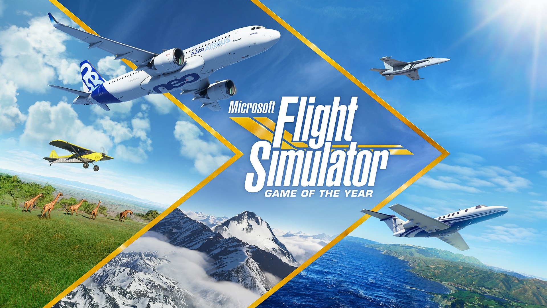 Огляд гри Microsoft Flight Simulator – підкори свою Мрію