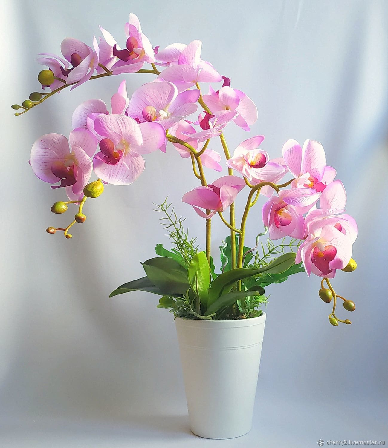 Топ-10 кімнатних рослин, які не варто тримати вдома Топ-10 кімнатних рослин, які не варто тримати вдома