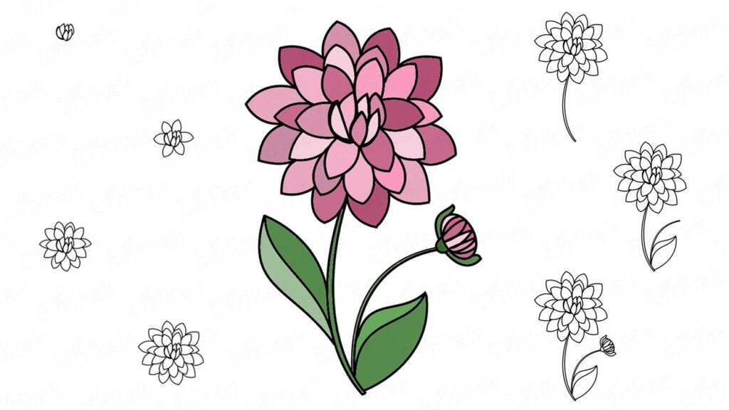 Як намалювати квіти - малюємо різні види квіток