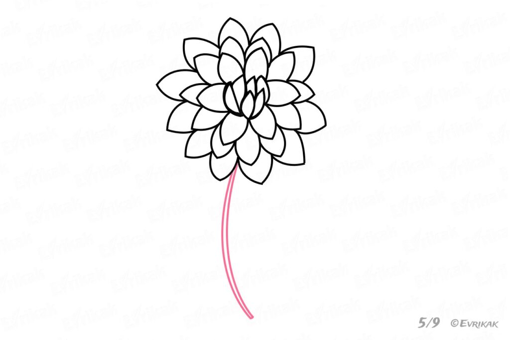 Як намалювати квіти - малюємо різні види квіток