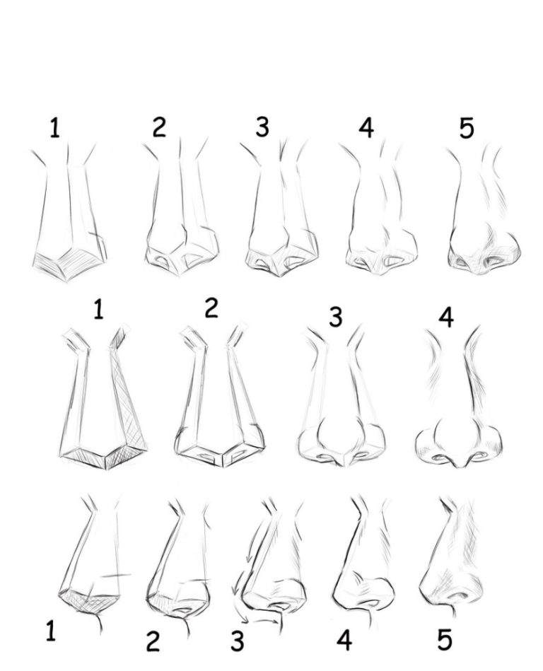 Як намалювати ніс - різні способи малювання носа в профіль і анфас