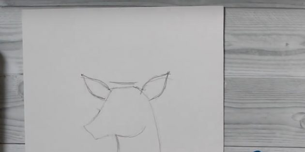 Як намалювати оленя - малюємо оленя мультяшного, стоячого, реалістичного і оленя на новий рік