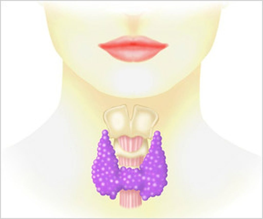 Як розпізнати захворювання щитовидної залози?