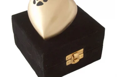 ТОП причин вибрати кваліфікований крематорій для тварин