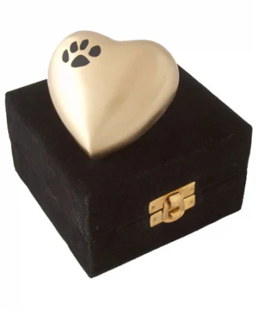 ТОП причин вибрати кваліфікований крематорій для тварин