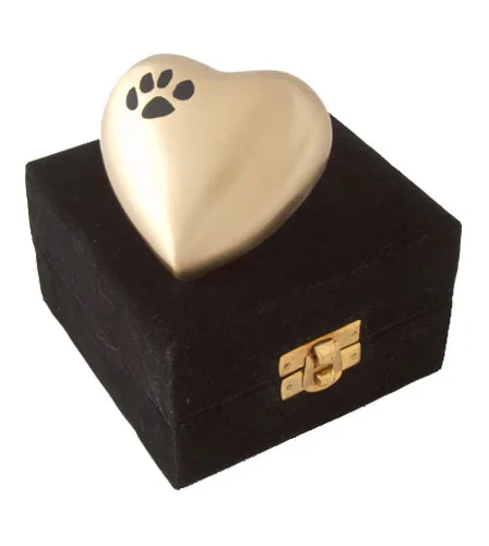 ТОП причин вибрати кваліфікований крематорій для тварин