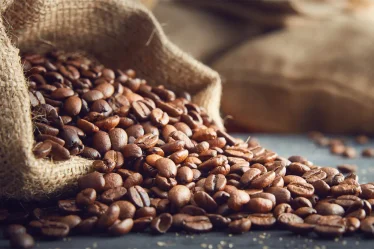 BlackZern та сучасний кавовий бізнес в Україні: досвід, якість та розвиток ринку