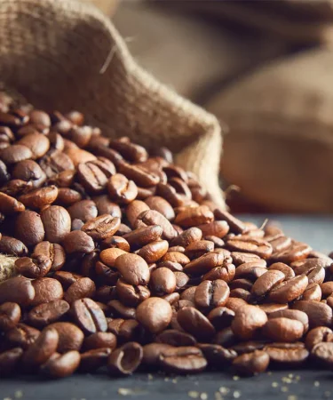 BlackZern та сучасний кавовий бізнес в Україні: досвід, якість та розвиток ринку